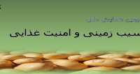 فراخوان مقاله دومین همایش ملی سیب زمینی و امنیت غذایی، مهر ۹۴، دانشگاه تربت حیدریه